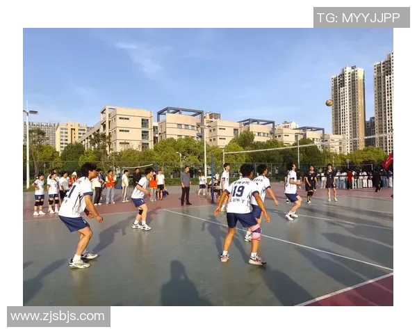 广州排球队在全国排球团队协作排行榜中荣获第六名的佳绩