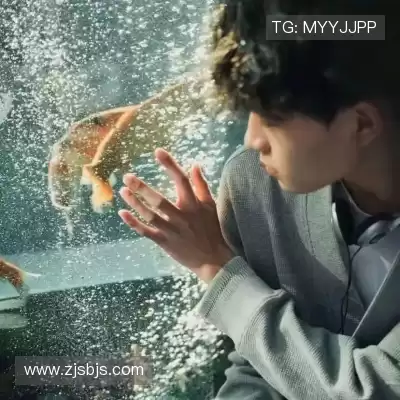 章鹭好